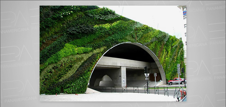 JARDINS VERTICAIS